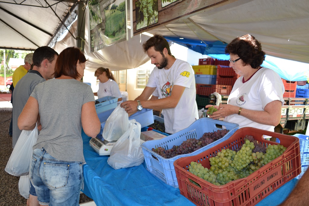 Ir para  <p><big>A XVI Festa Di Bacco de Erechim chegou ao fim no &uacute;ltimo domingo (19), no Semin&aacute;rio Nossa Senhora de F&aacute;tima.&nbsp; Ap&oacute;s comercializa&ccedil;&atilde;o, os produtores...